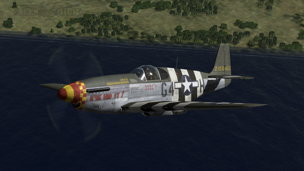 P-51B 357thFG/362ndFS by oboe skin image