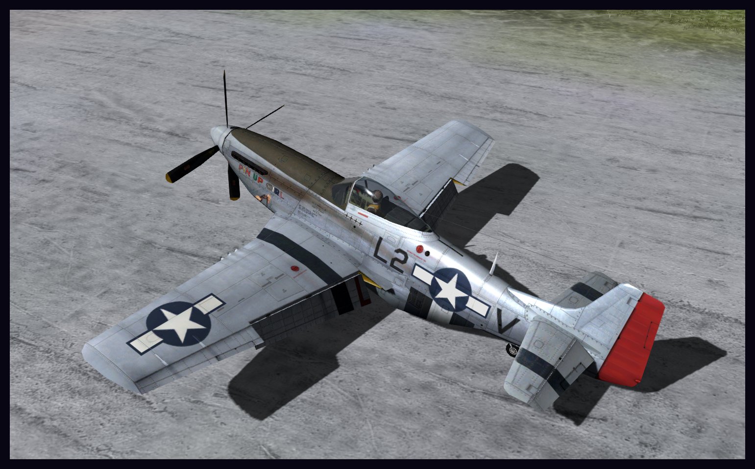 P-51D 479FG/434FS skin image